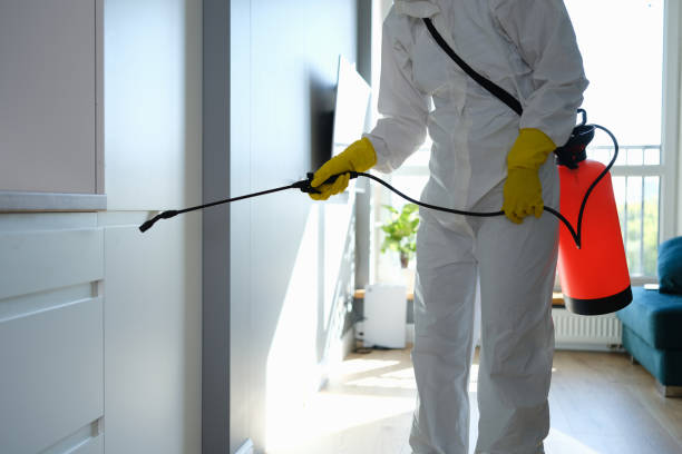 Lamont, CA Mold Remediation Company