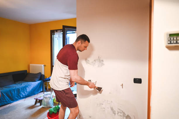 Best HVAC Mold Remediation in Lamont, CA